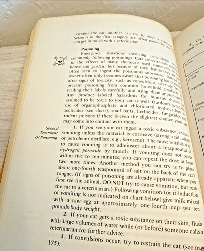 The Well Cat Book & I Care About Animal  - Picture 7 of 8