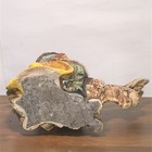 Picture 14 of 15
