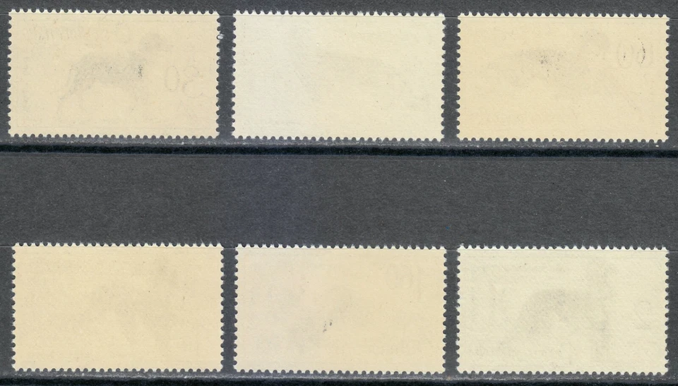 Tchecoslováquia 1965 MNH Mi 1542-1547 Sc 1312-1317 World Dog Show at Brno ** - Imagem 2 de 2