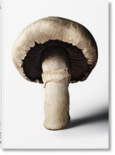 The Gourmand's Mushroom. A Collection of Stories and Recipes (Varia)