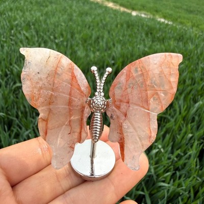 5pc 3'' A pair Natural red gum flower Butterfly Wing Reiki Crystal Skull Decor