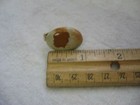 Foto 6 di 6