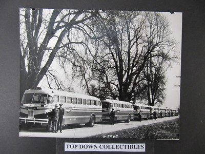 Vintage Passenger Bus Photographs   Buses All Lined Up
