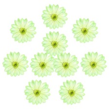 10-Pack Artificial Plumeria Flower Heads,3.54" Fake Flowers, Green and White