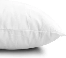 EDOW Throw Pillow Inserts, Set of 2 Lightweight Down 18x18 Inch, White