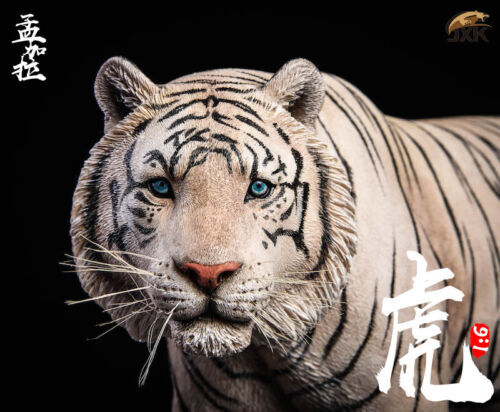 JxK 1/6 Bengal Tiger White Tiger Figure Animal Model Collector Decor Toys Gift - Picture 19 of 24