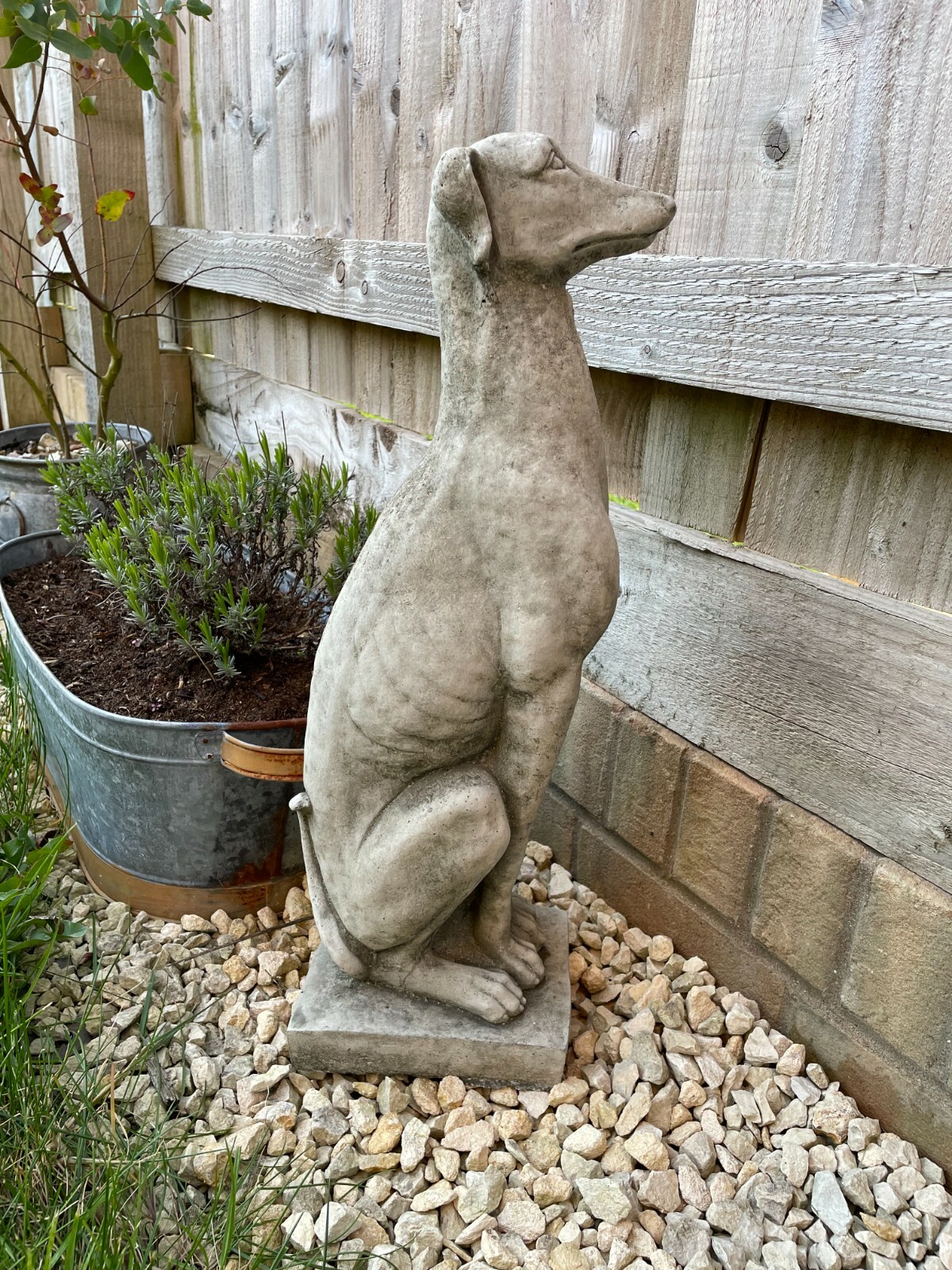 Upright Whippet Stone Statue Greyhound Lurcher Animal Garden Outdoor