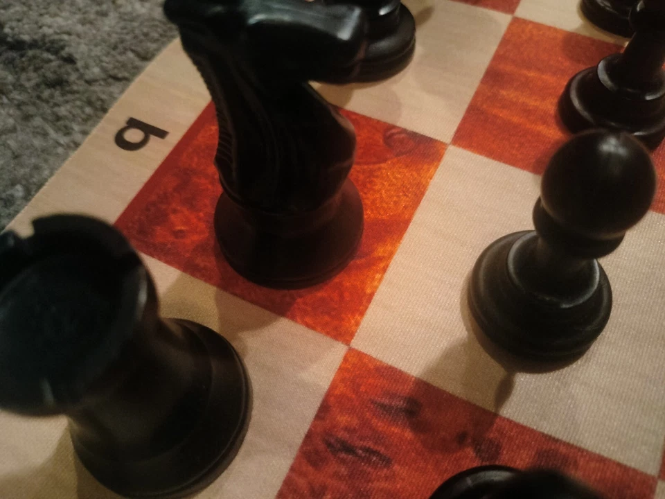 Chess ♟️Set Green Carry Bag Roll Up Vinyl Square Blk/White 32 Pieces Plus DVD 📀 - Image 3 of 4