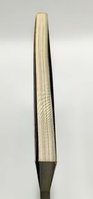 Theme Park Strategy Guidebook for PS1 & Saturn  Used No Damage