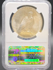 1923 Peace Dollar NGC MS64 – Brilliant Luster, Clean Fields, Certified — photo 2