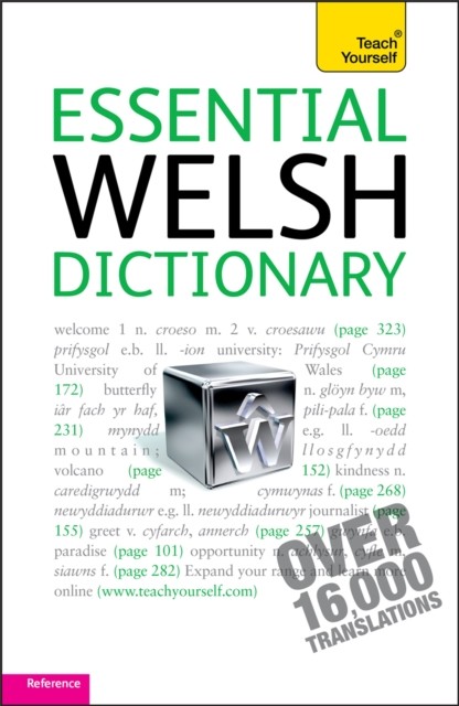 Essential Welsh Dictionary: Teach Yourself - Image 3