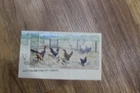 2013 AUSTRALIAN POULTRY BREEDS CHICKENS MINI SHEET   FDC COVER