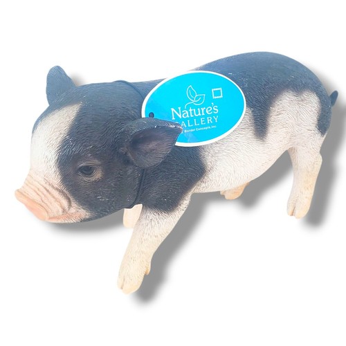 Stehendes Baby Schwein lebensecht Figur Statue Nature's Gallery Border Concepts  - Bild 1 von 8