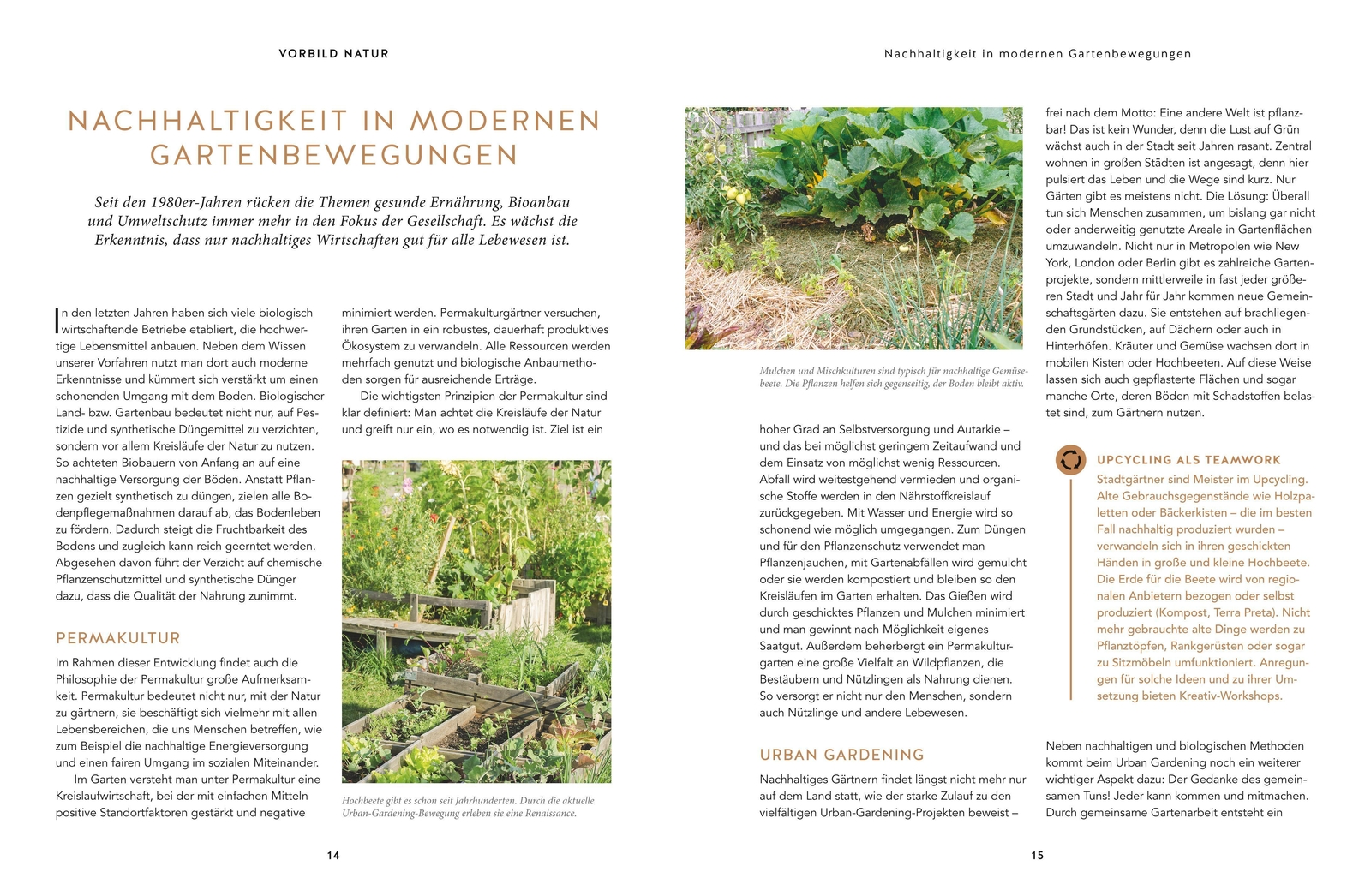 Thumbnail - Burkhard Bohne | Nachhaltig Gärtnern | Buch | Deutsch (2019) | Garten