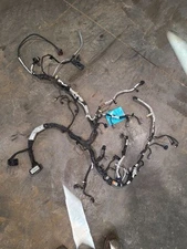EXPEDITON 2015 Engine Wire Harness 620550