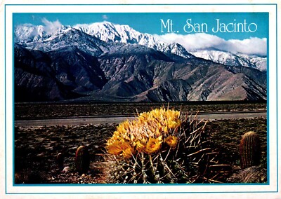Springtime Contrast On The Desert Mt. San Jacinto California Postcard