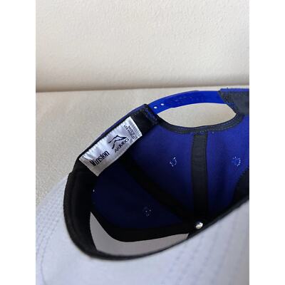 Akimbo Club x Tyrrell Winston LA Noodle Snapback Hat - Blue - NEW