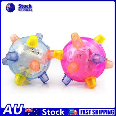 bouncing ball dog toy