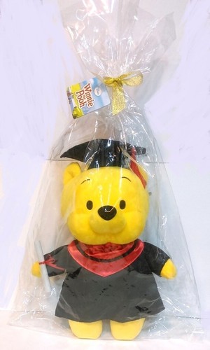 17" Disney Characters Graduation Plush Figure Grad Gift Stuffed Animal Doll Toy - Picture 10 of 12