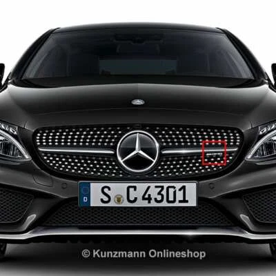 Original C 43 AMG Logo Schriftzug Kühlergrill C-Klasse W205 Mercedes-Benz NEU - Bild 1 von 3