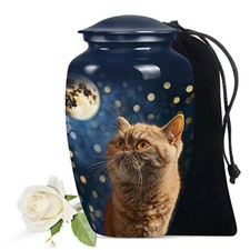 Unique Cat with Moon Design Pet Urn For Cat Customizable Urn For Pet