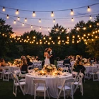 Wedding String Bulb Outdoor Lights 25 LED Bulbs - USB Operated 12.5mtrs