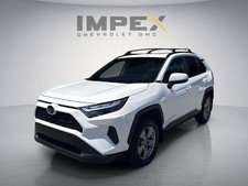 2024 XLE