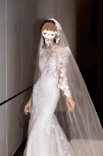 2025 NEW! Lace V Neck Mermaid Wedding Dress, Long Sleeves Button Back - Picture 14 of 14