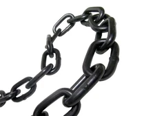 1/4" x 10' Black Powder Coated Chain Safety Barrier Gate Swing Set Grade 30