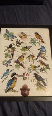 VTG Thanks To You We Still Have A Home Bird Species Smokey The Bear Info Poster