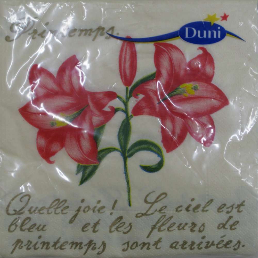Servietten Mit Vergissmeinnicht-Motiv, 20 Stück, 33x33 Cm, Blau-weiß – Für Decoupage, Party & Deko