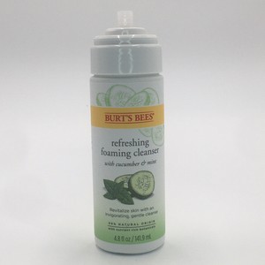 burt's bee gentle foaming cleanser