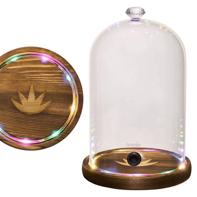 Smoking Gun Accessory LED lights Glass Dome 10.2 x 5.5 Lid with Wooden Base  Lid