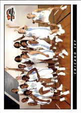 2006 Rittenhouse WNBA #6 Dave Cowens Chicago Sky Team Card