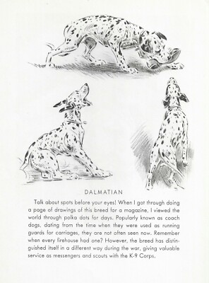 Dalmatian ''Trio'' - CUSTOM MATTED - Vintage Dog Art Print - 1946 Dennis