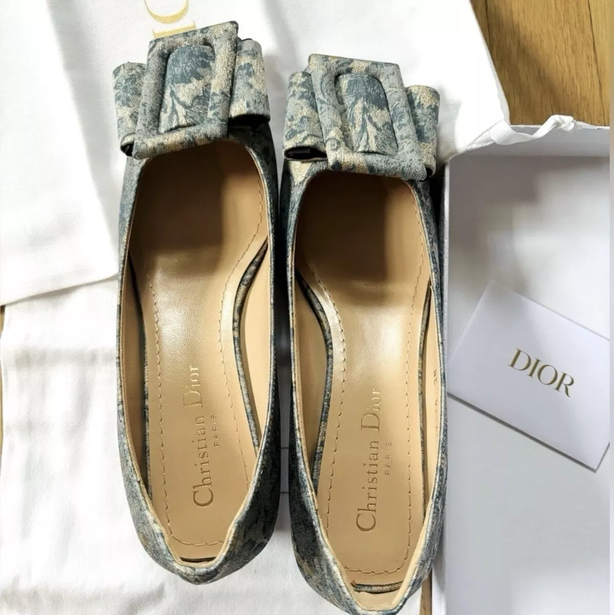 Chaussures Christian Dior