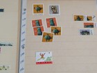 Bild 4 von 10
