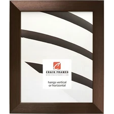 Craig Frames Modern Aesthetics 125, 1.25 Inch Wide Brushed Bronze Picture Frame
