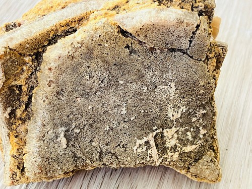 Sauropod egg - Sauropoden Ei - Saltasaurus ***Top Stück - Bild 8 von 12