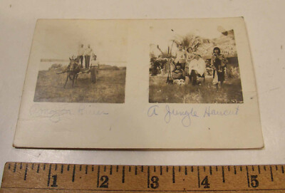 VINTAGE 1953 RPPC AMAZONIA BRAZIL AMAZON RIVER RAINFOREST