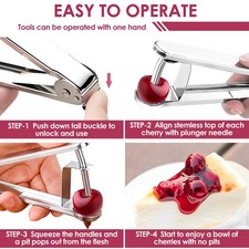 3 Pcs Stainless Steel Cherry Pitters Heavy Duty Cherry Pitter Tool Pit paCKS