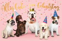 Geburtstag GlüCkwunschkarte Mit Umschlag Hunde Mit PartyhüTen Mit Goldfolie