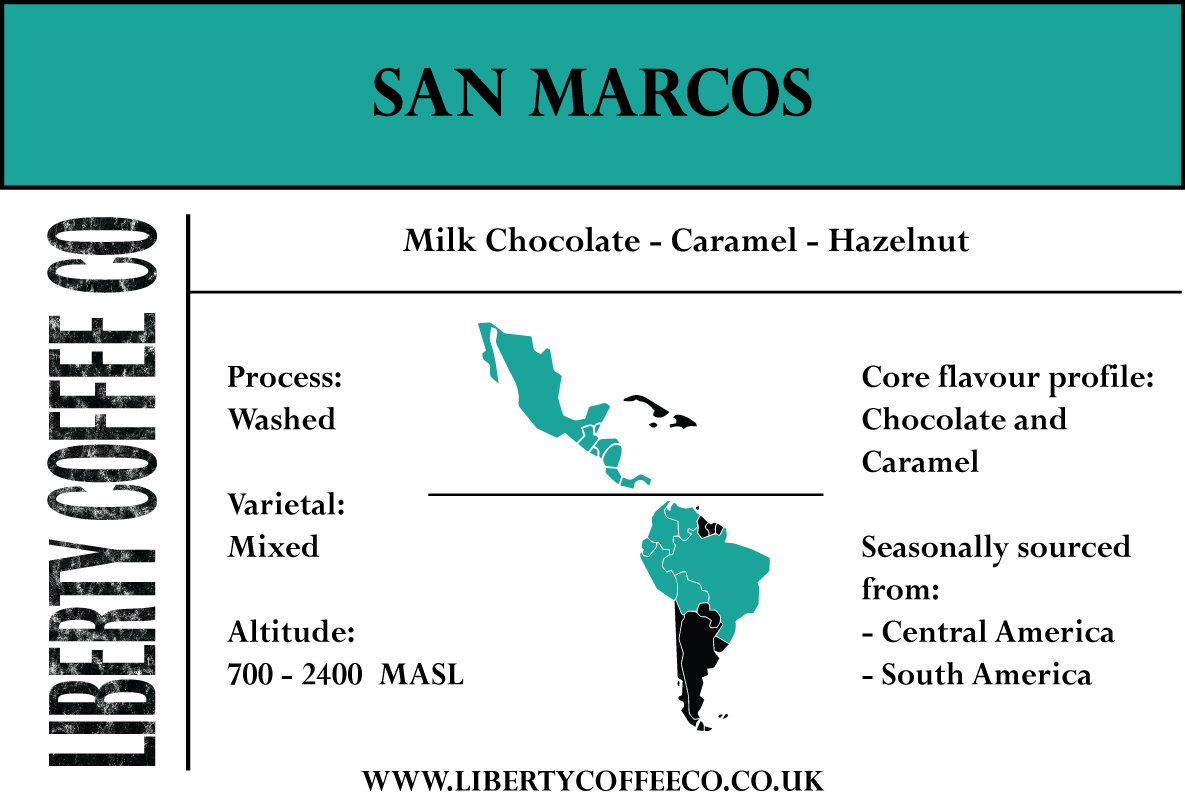 Medium Freshly Roasted Coffee Beans Blend San Marcos Liberty Coffee