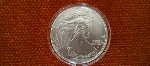 2023 American Eagle 1oz Silver Bullion Coin in Capsule