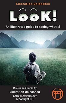 Look!- An Illustrated Guide to Seeing What Is von L... | Buch | Zustand sehr gut