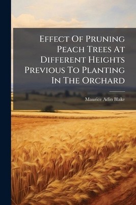 Effect Of Pruning Peach Trees At Different Heights Previous To Planting In The O