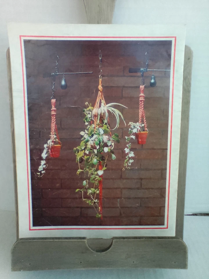 MACRAME Macra-Hangings Lee Originals L-707 Vintage 1975 Craft Booklet Thelma Lee - Image 2 of 4