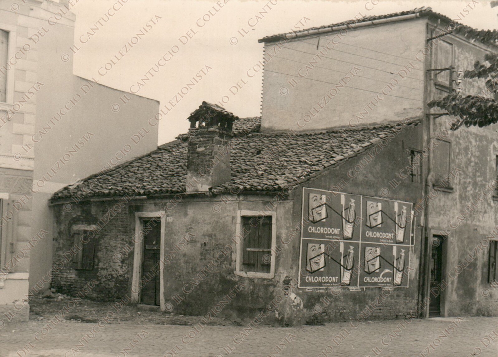 Foto 1 di 2