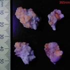 Foto 3 di 7