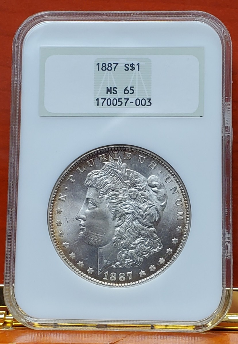 1920 アメリカ メイン州 ハーフダラー銀貨 NGC MS63 Certified Morgan Silver Dollar 1900 MS63 NGC - Golden Eagle Coins